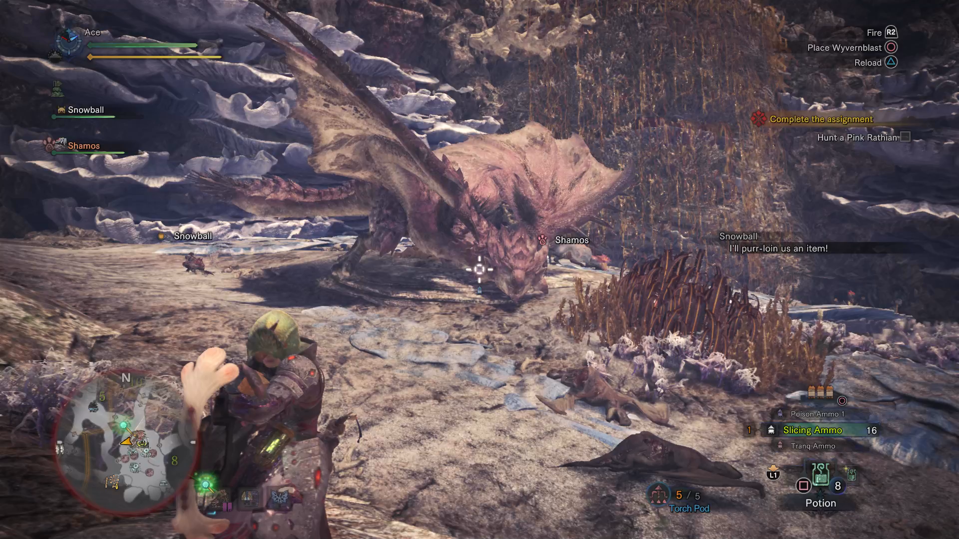 Monster Hunter World Search For Rathian Tracks Monster Hunter World Pink Rathian - How to Track and Kill the Pink